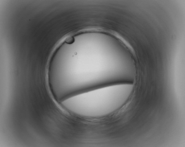 X0000114661237200910201014
