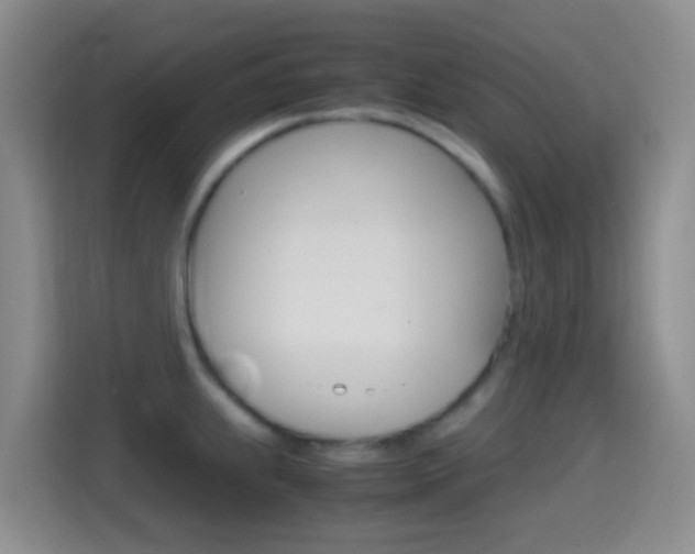 X0000114661239200910201014