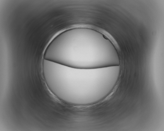 X0000114661244200910201014