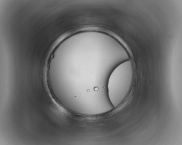 X0000114661245200910201014