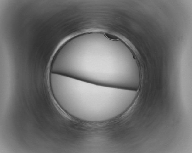X0000114661246200910201014
