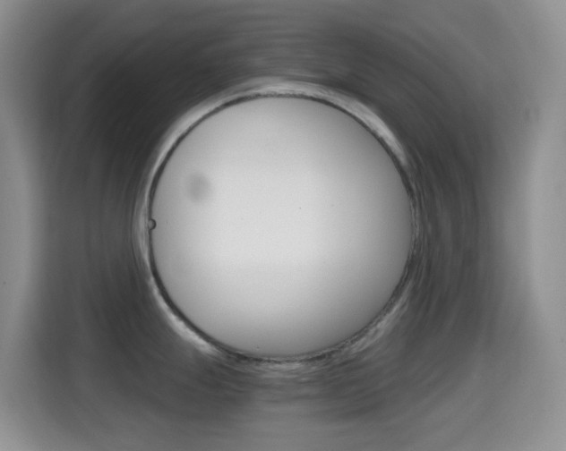 X0000114661247200910201014