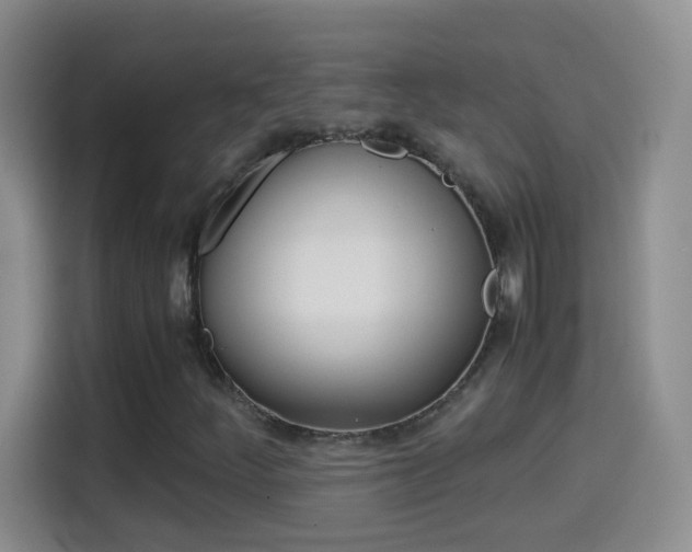 X0000114661252200910201014