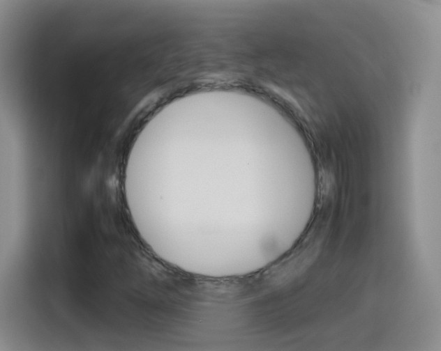 X0000114661254200910201014