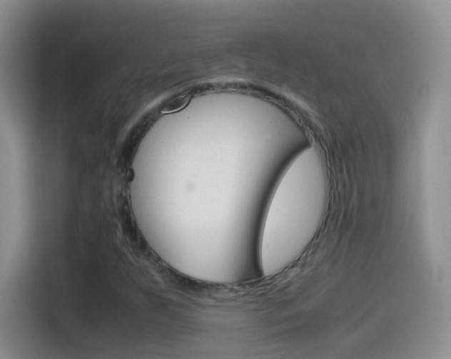 X0000114661255200910201014