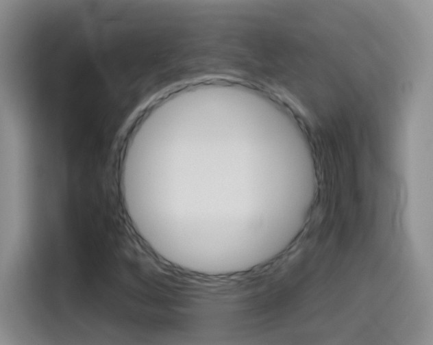 X0000114661256200910201014