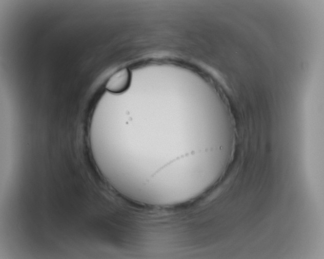 X0000114661263200910201014