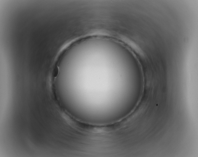 X0000114661264200910201014