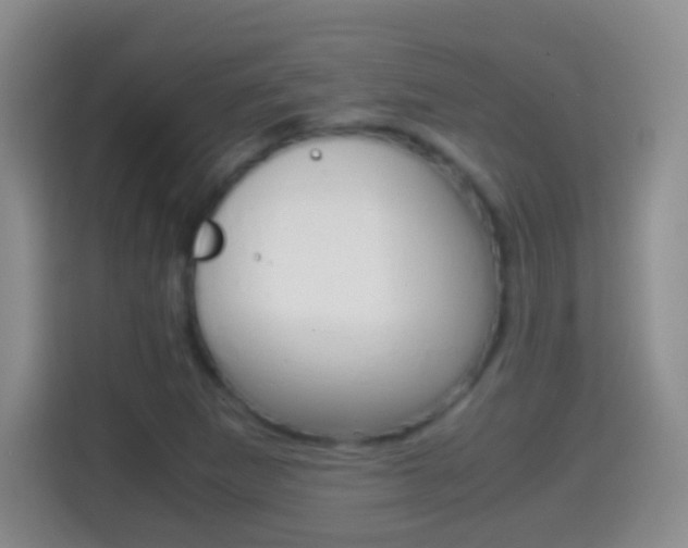 X0000114661265200910201014