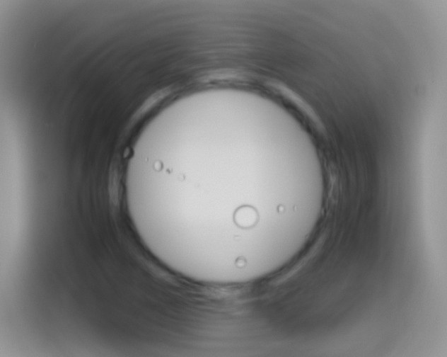 X0000114661266200910201014