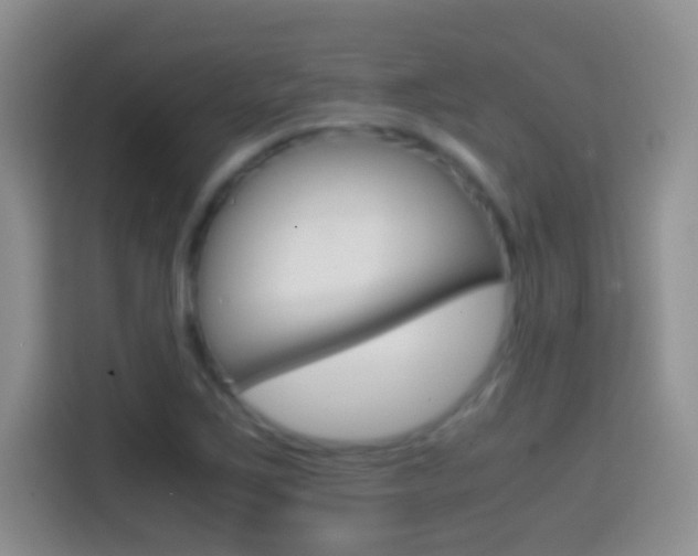 X0000114661267200910201013