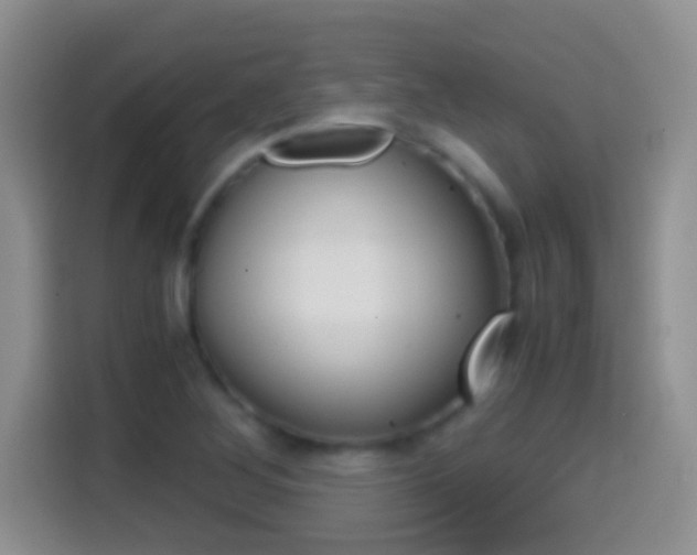 X0000114661268200910201013