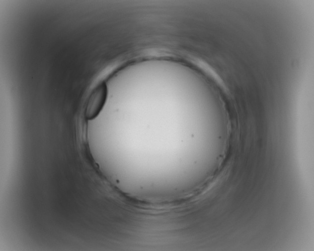 X0000114661269200910201013