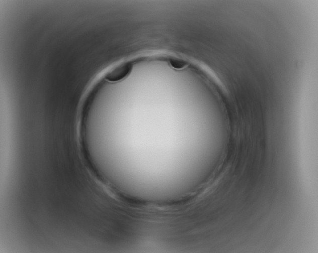 X0000114661270200910201013
