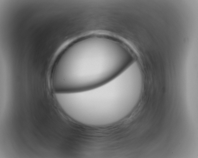 X0000114661271200910201013