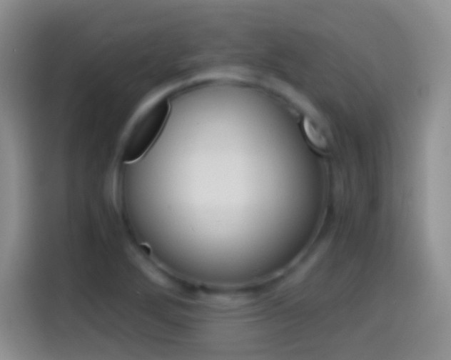X0000114661272200910201013