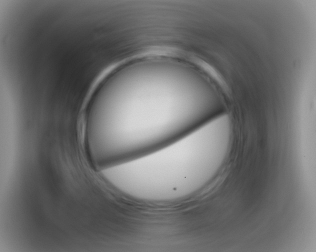 X0000114661275200910201013