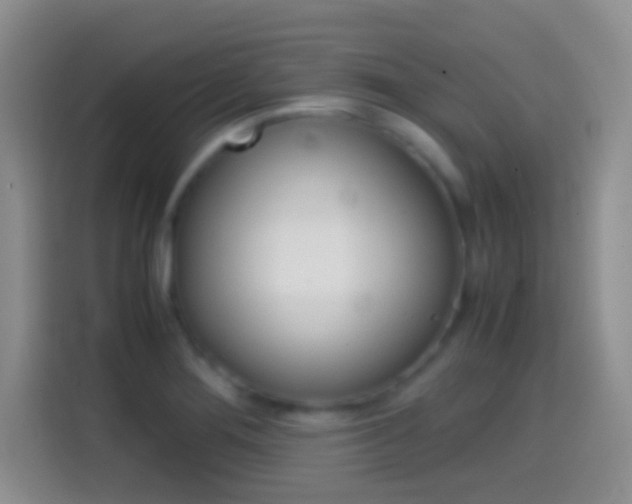 X0000114661276200910201013