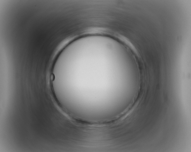 X0000114661277200910201013