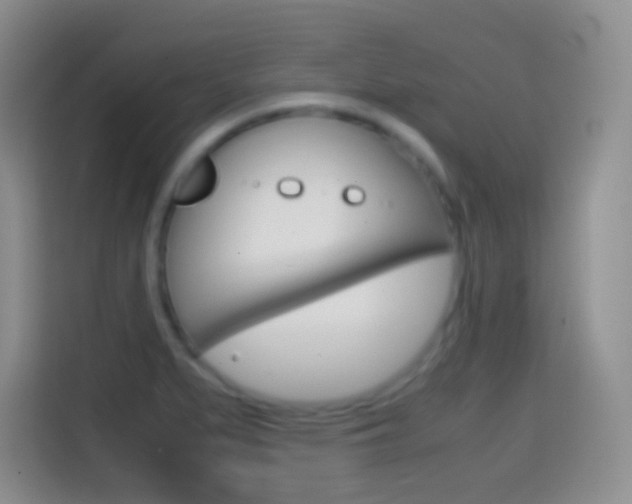X0000114661279200910201013