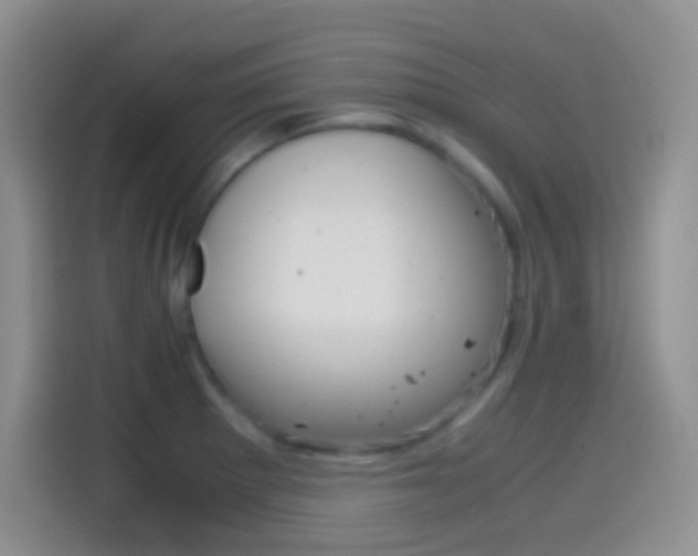 X0000114661281200910201013