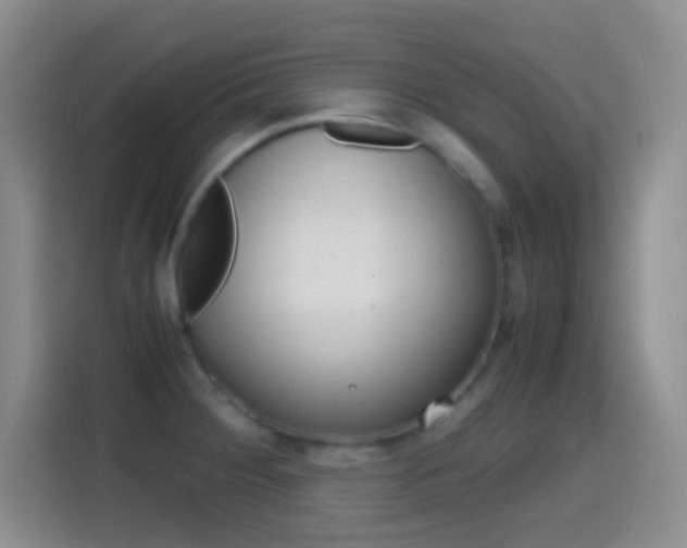 X0000114661284200910201013