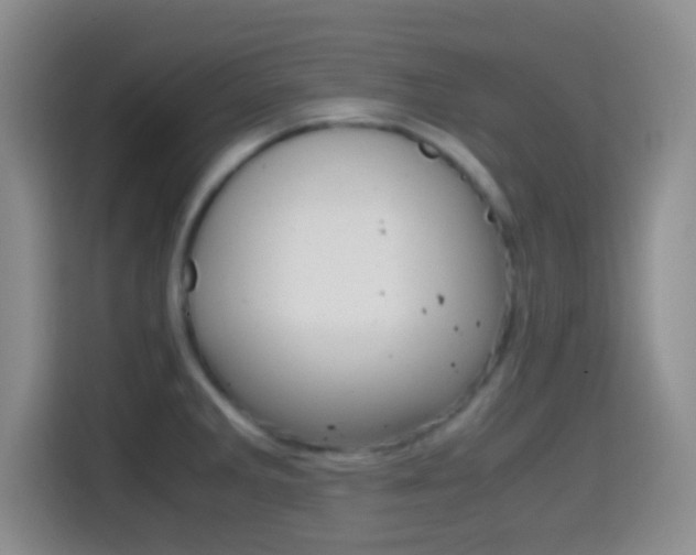 X0000114661285200910201013
