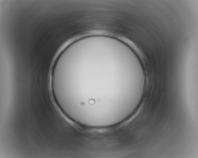 X0000114661286200910201013