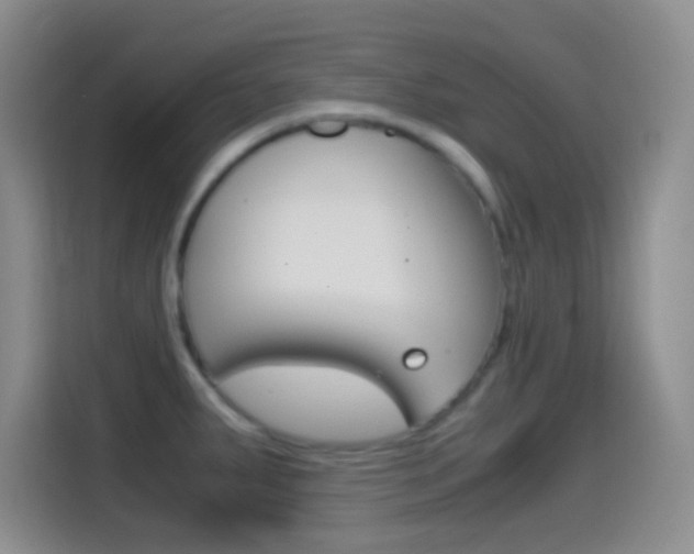 X0000114661287200910201013