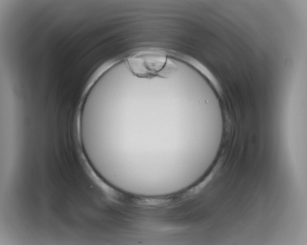 X0000114661290200910201013
