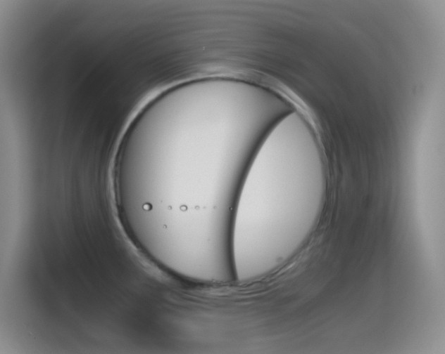 X0000114661291200910201013