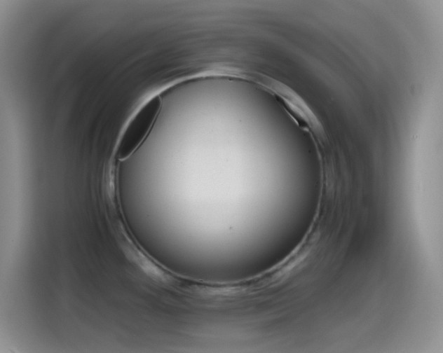 X0000114661292200910201013