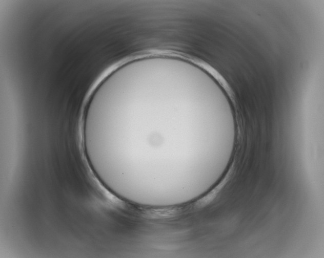 X0000114661294200910201013
