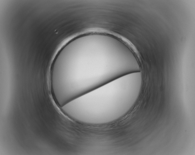 X0000114661295200910201013