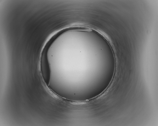 X0000114661296200910201013