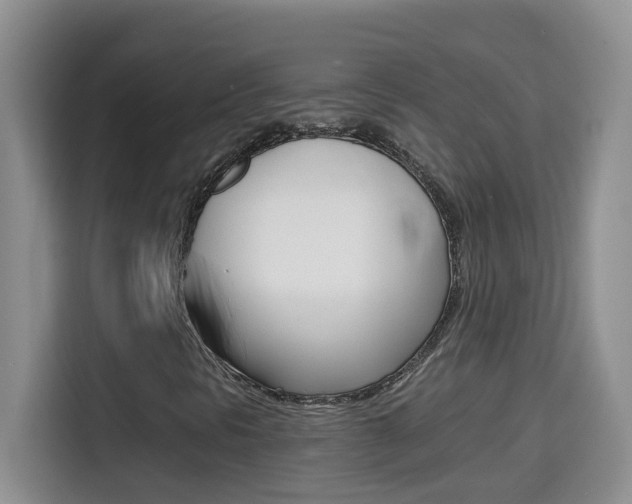 X0000114661297200910201012