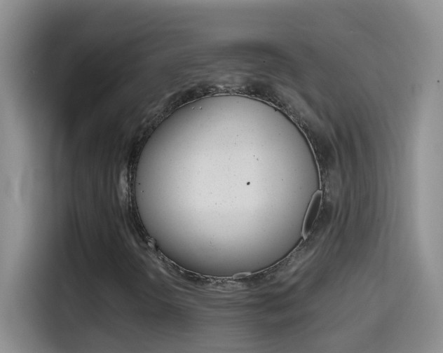 X0000114661298200910201013
