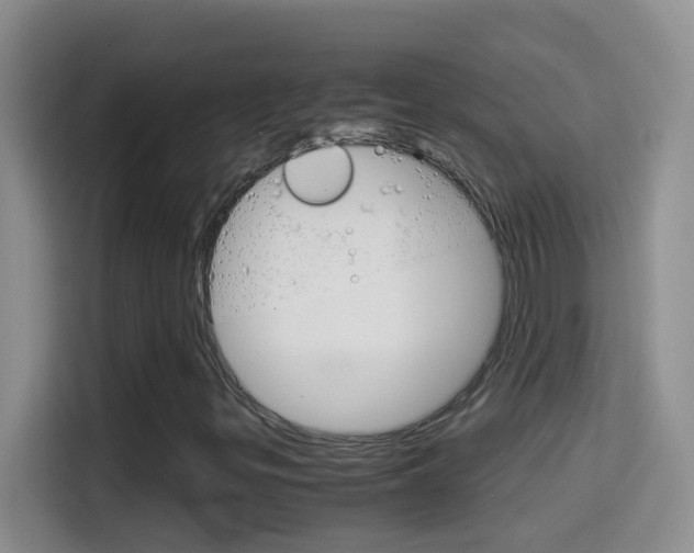 X0000114661299200910201013