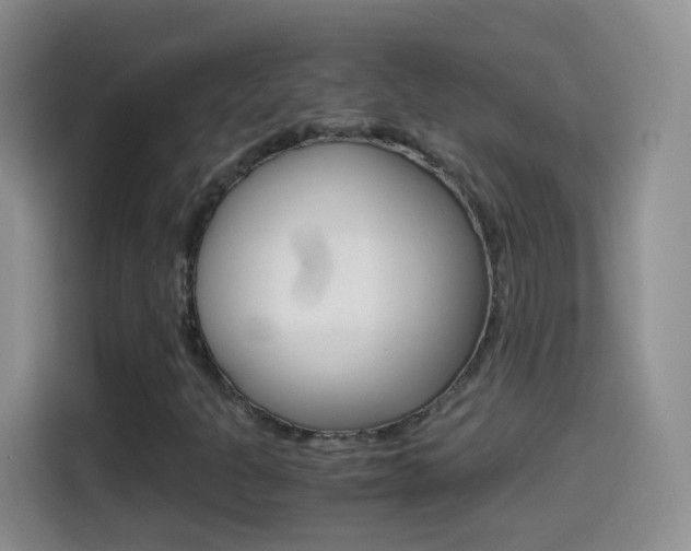 X0000114661301200910201013
