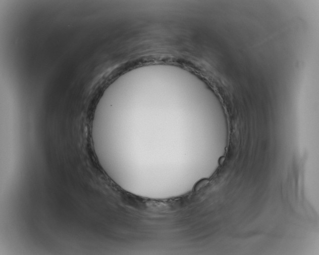 X0000114661302200910201013