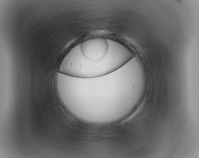 X0000114661305200910201013