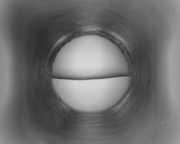 X0000114661306200910201013