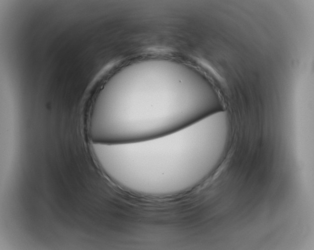 X0000114661307200910201013