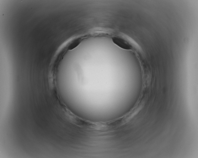 X0000114661310200910201013