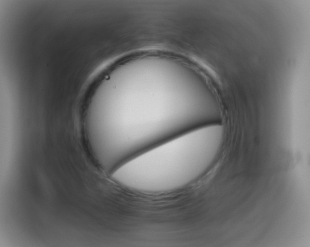 X0000114661311200910201013