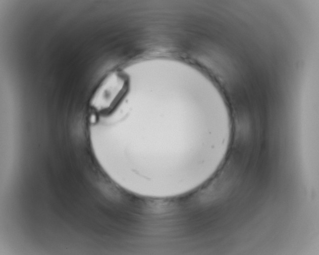 X0000114661314200910201013