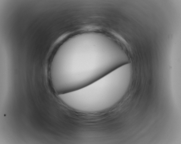 X0000114661315200910201013