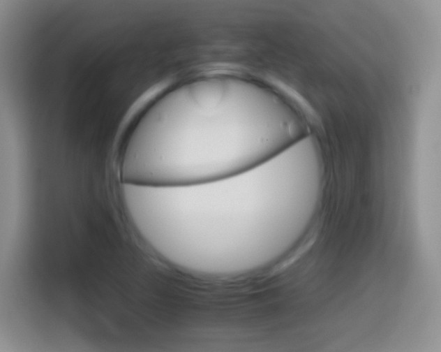 X0000114661317200910201013