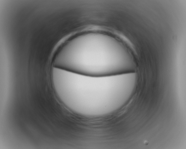 X0000114661318200910201013