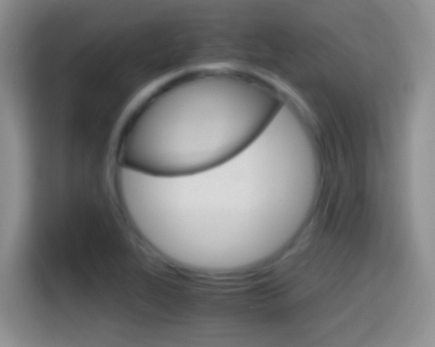 X0000114661319200910201013